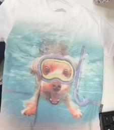 Imagem de capa de Mvm Pulla Camiseta 34557 Cachorro M