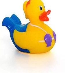 Imagem de capa de Pl Dican Termometro Banho 1331 Patos